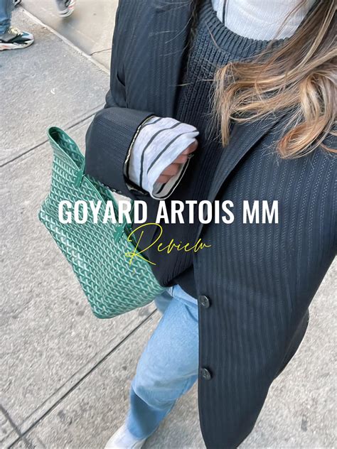 goyard artois bag|goyard artois vs st louis.